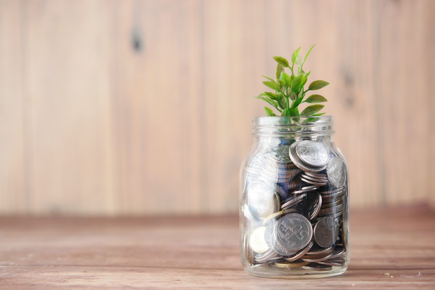 The Essential Guide To Rental Property Investing